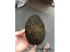 猪宝鉴定收购图1