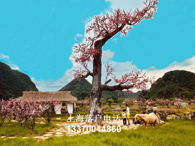 上海居住证查询,undefined