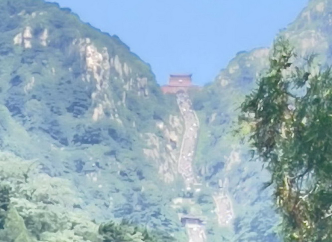上海关于人才落户政策的,undefined
