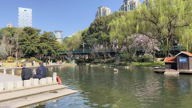 上海人才引进落户公司名额,undefined