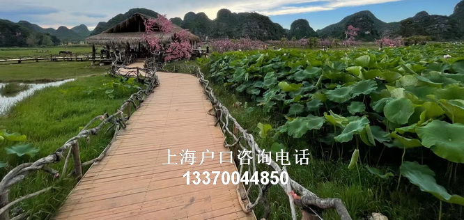 上海市民网,上海人才引进落户等待初审,undefined