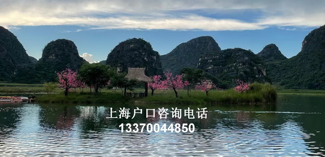 个税落户上海undefined
