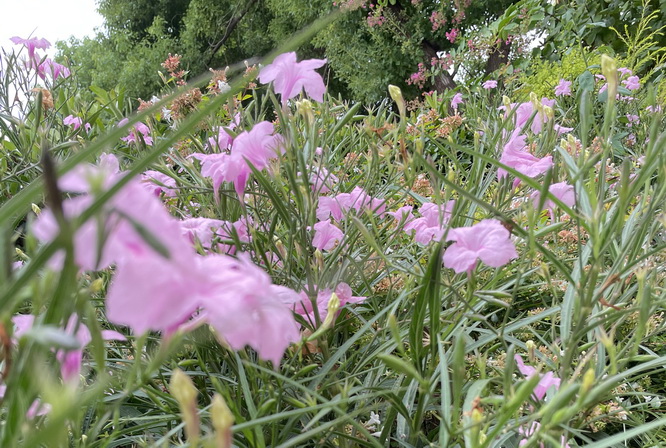 上海居住证查询,undefined