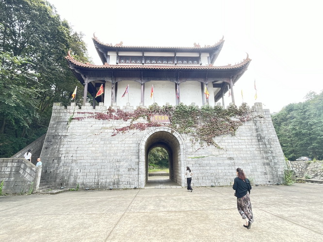 211大学上海落户,undefined