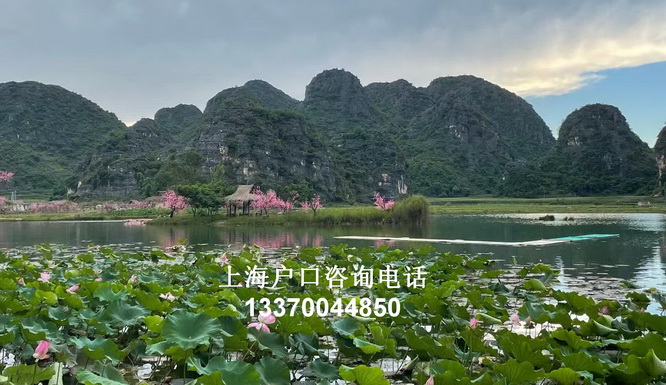 人才引进需要什么条件,undefined