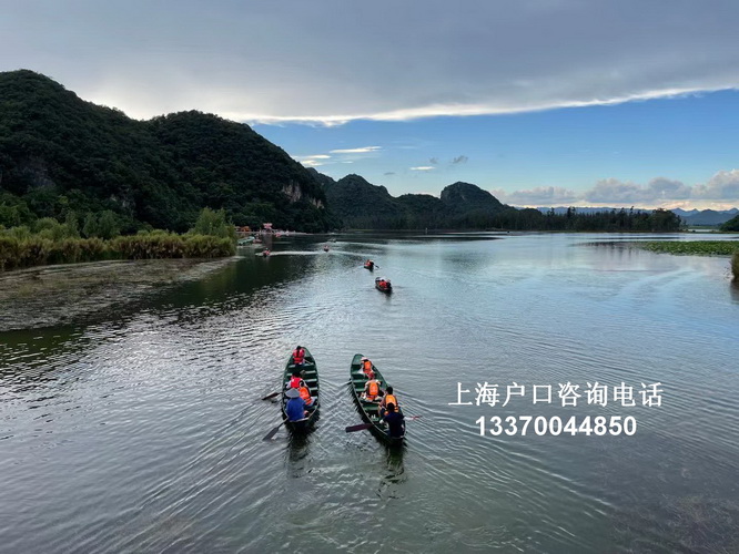 落户政策去哪里咨询,undefined