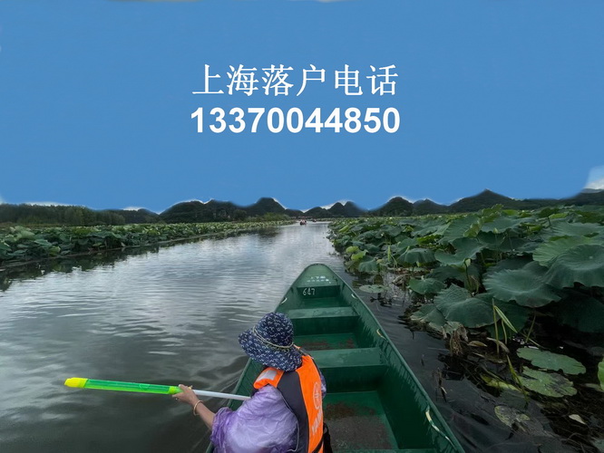 上海人才引进落户流程,undefined