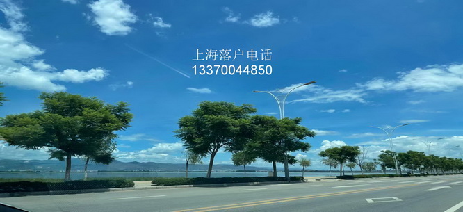 上海哪些中级职称可居转户undefined