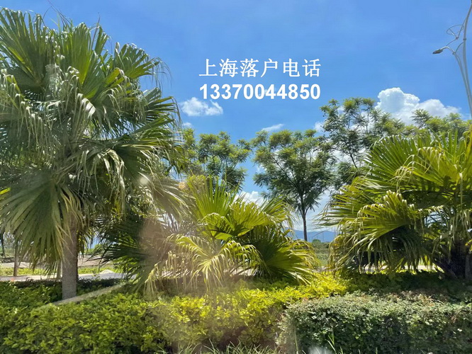 去阿姆斯特丹大学学精算学怎么样？