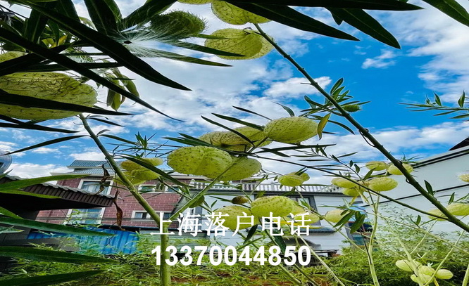 哪些资格证书可落户上海,undefined