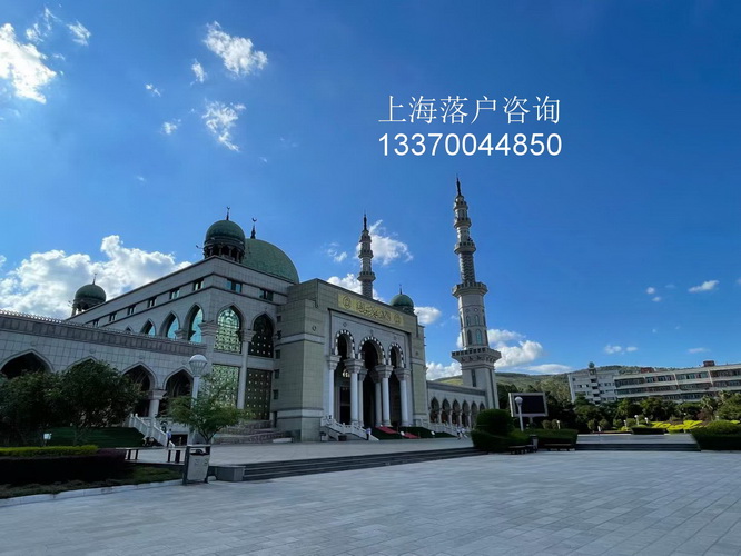 社保自助经办,undefined