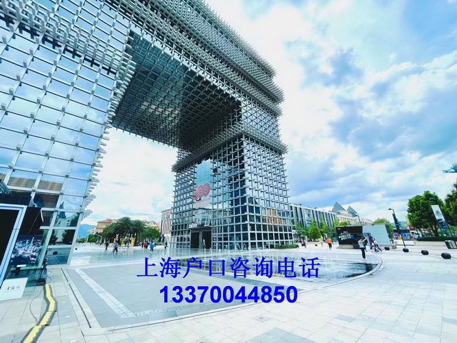 上海公共服务平台积分管理,undefined